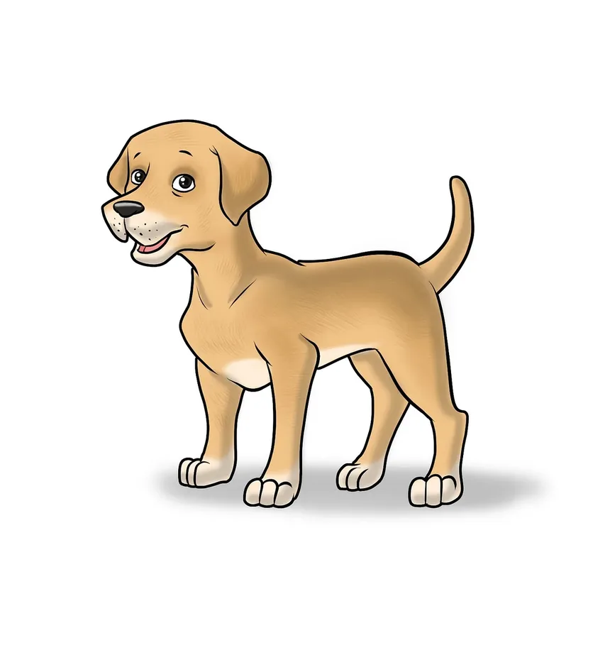 Remédios Caseiros para Infecções na Bexiga de Cães: Soluções Eficazes e Cuidados