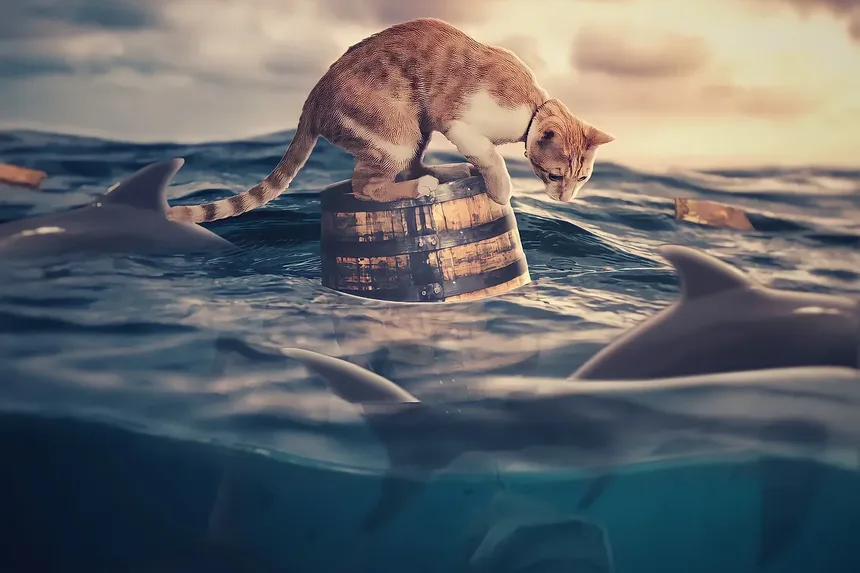 Como Ajudar um Gatinho Recém-Nascido a Usar o Banheiro: Um Guia Completo