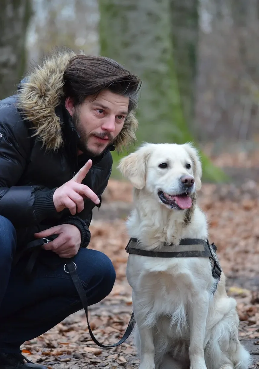 Como Deixar Seu Cão Confortável Após a Vacinação