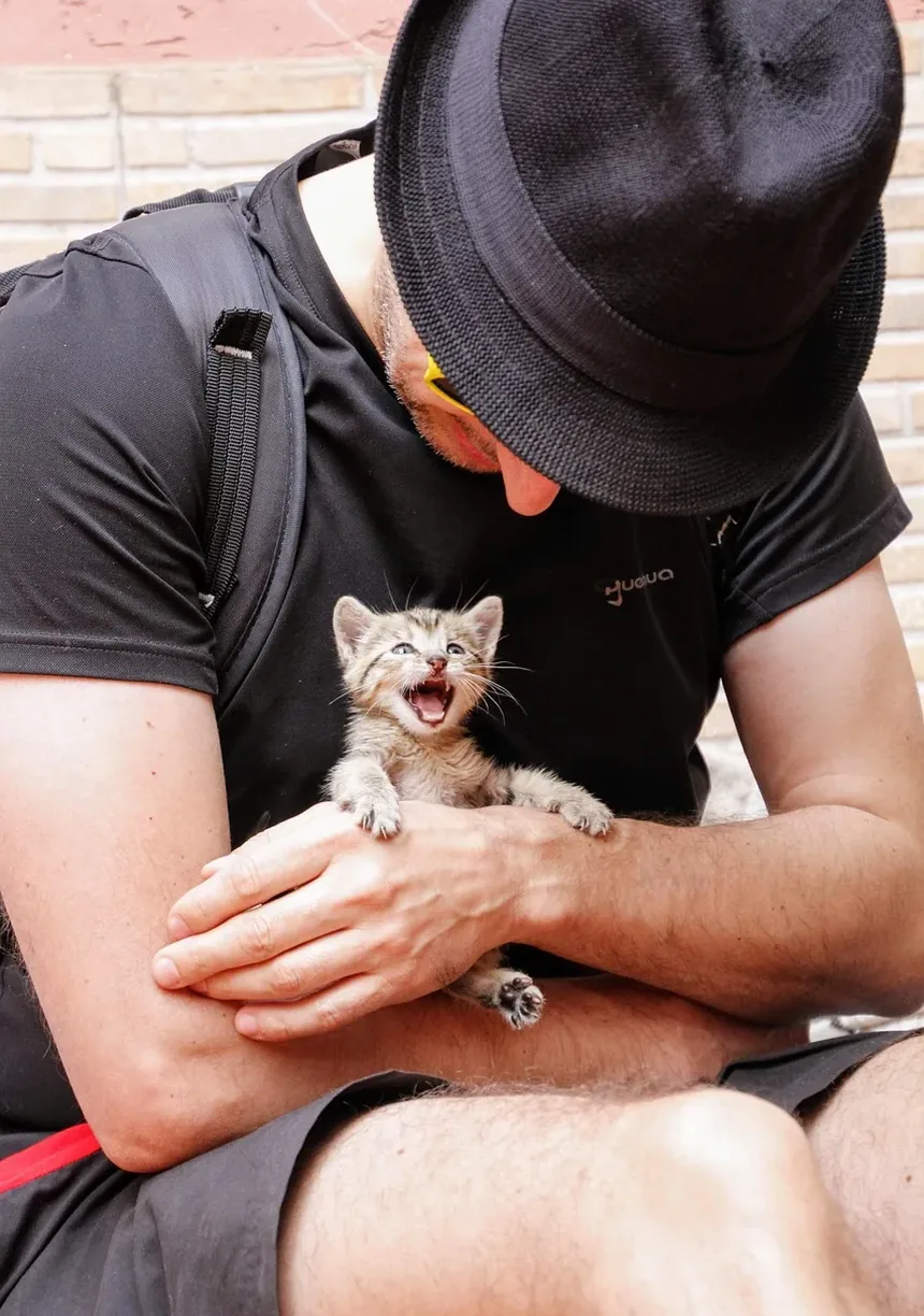 Remédios Naturais para Alergia a Caspa de Gato: Estratégias Eficazes para Alívio