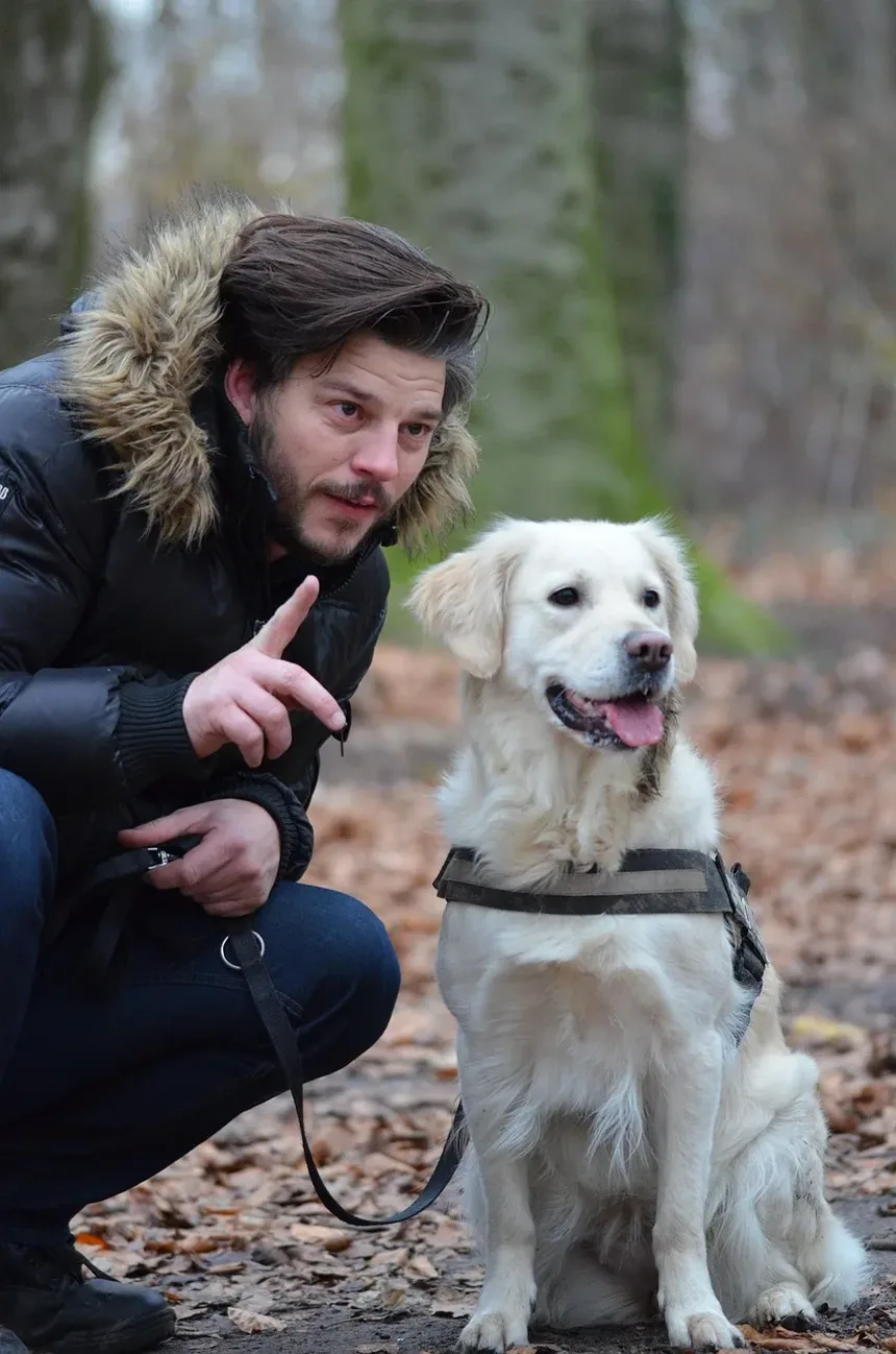 Por Que Meu Cão Me Olha Durante os Passeios?